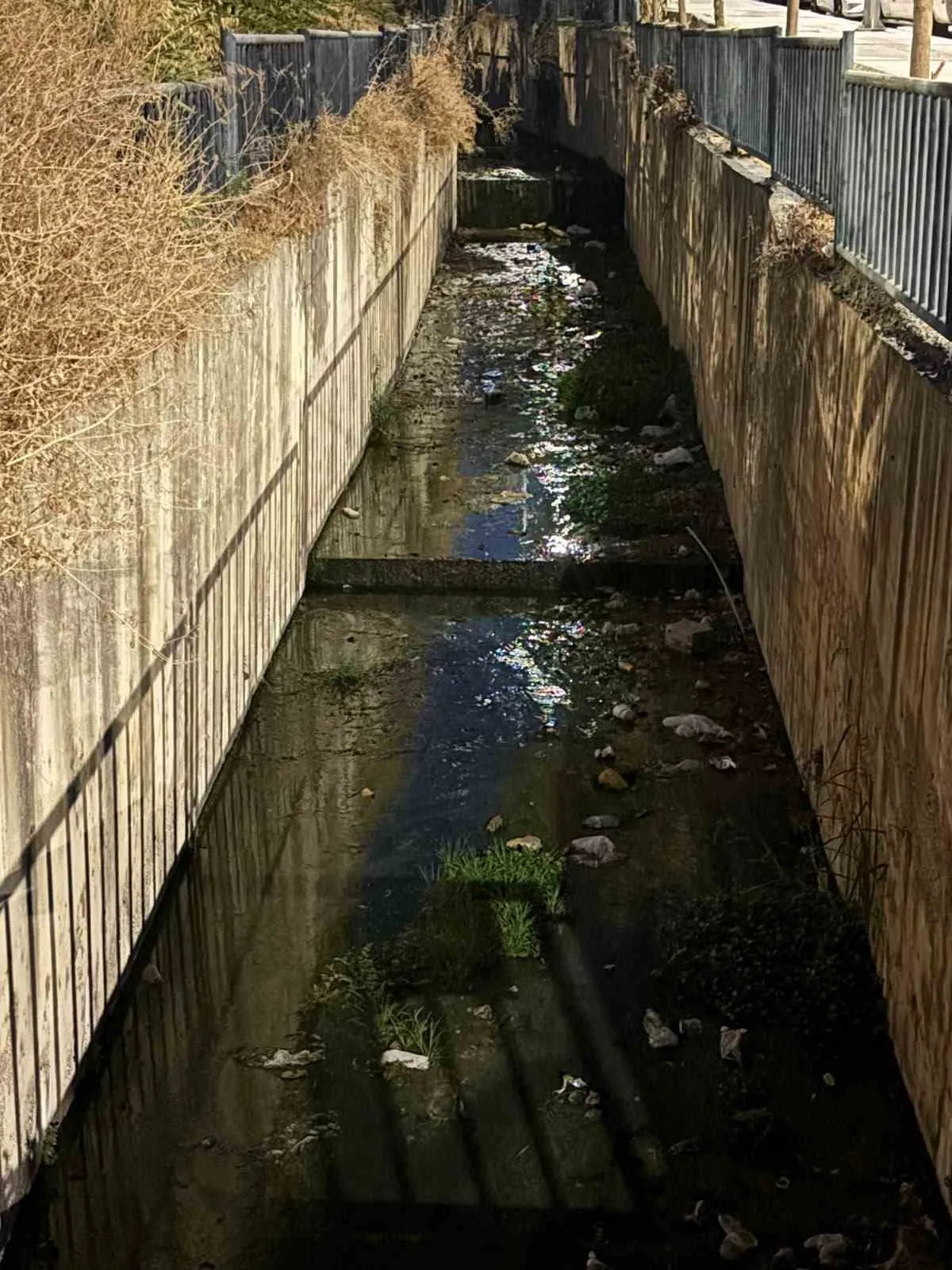 Urla'da dere kirliliğine karşı gönüllü seferberlik çağrısı