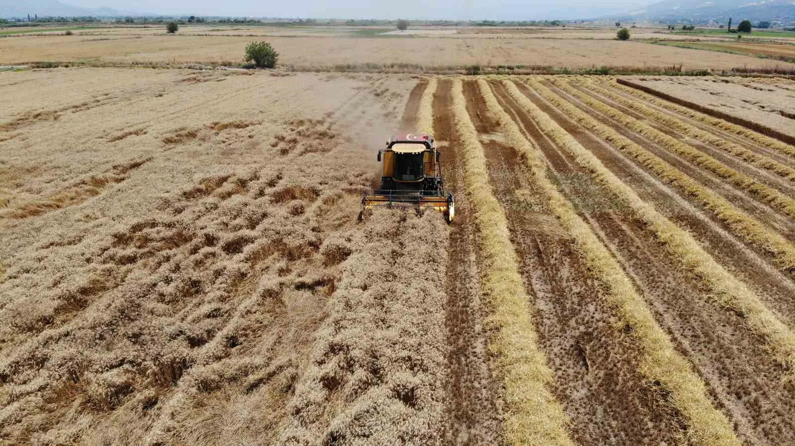 Aydınlı üreticinin 2027 yol haritası belli oldu: Hangi ilçede ne ekilecek?