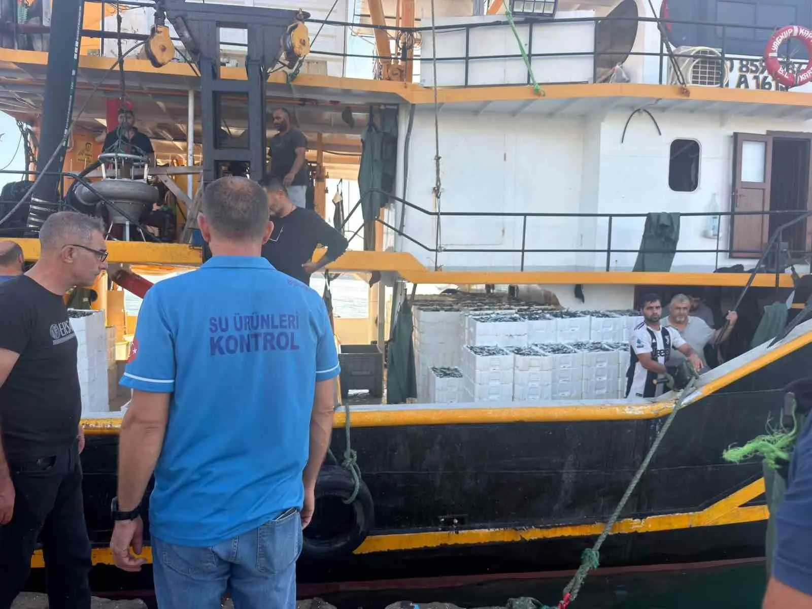 Didim sularında hamsi mesaisi: Gelecek nesiller için sıkı denetim