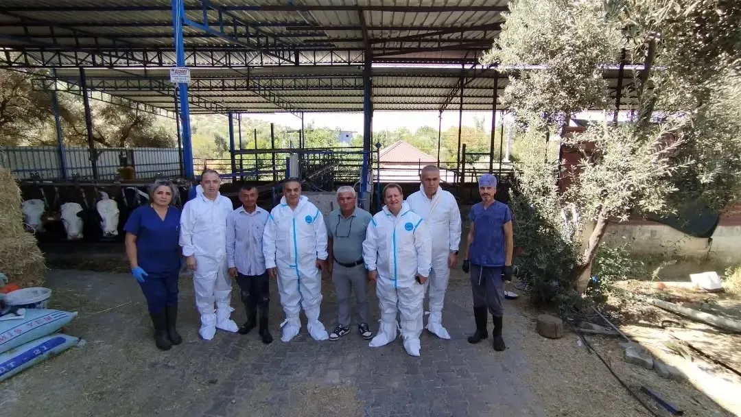 Aydın’da hayvancılık için kritik iki ay: Şap hastalığına karşı büyük önlem