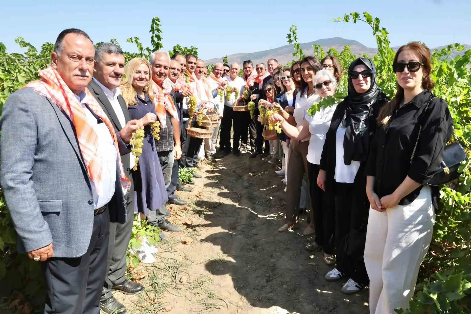 Menemen’de bağlar dile geldi: 18 bin tonluk bereket sofralara taşınıyor