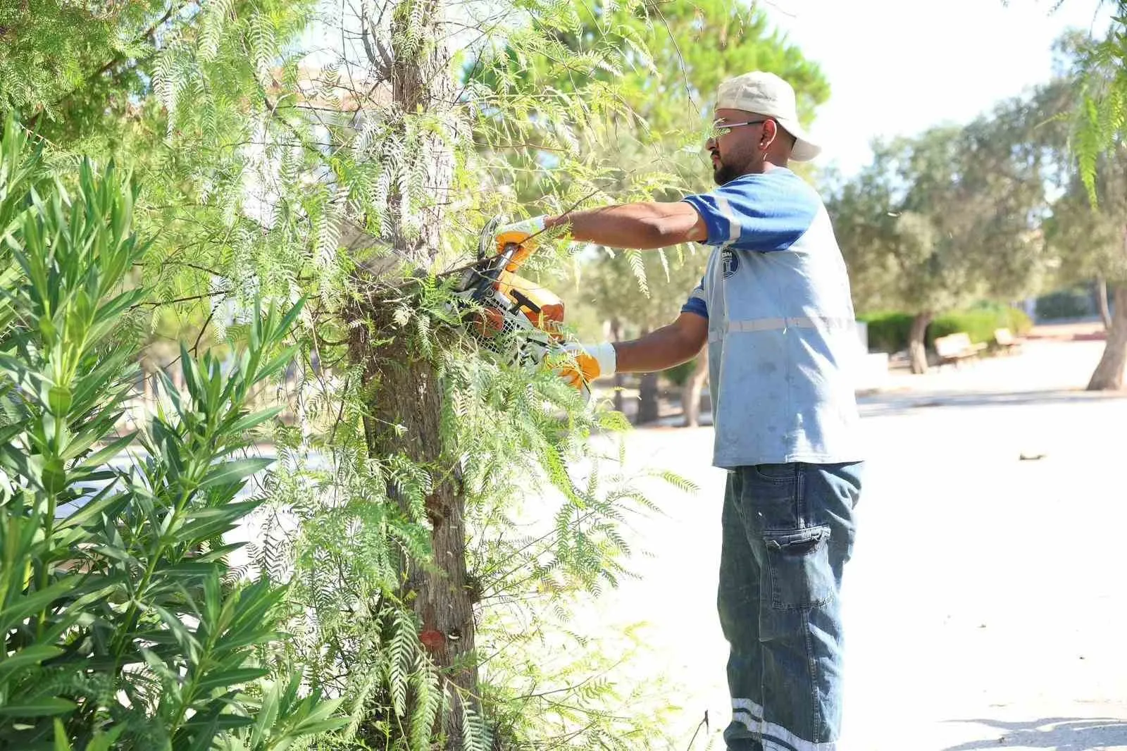 Didim'de eğitim yuvaları yeni döneme hazır: Başkan Gençay'dan hijyen seferberliği