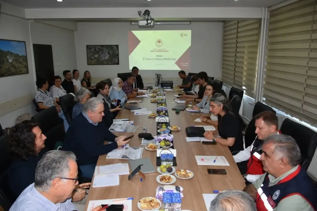 Aydın incirinde Avrupa sınavı: AB heyeti denetim için sahaya indi