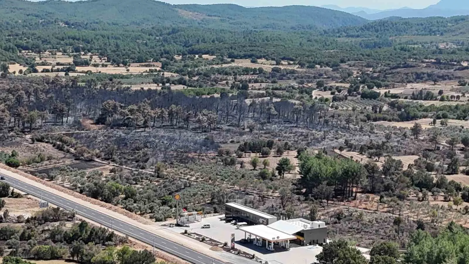 Muğla'da alevlerin bıraktığı acı tablo: 150 hektarlık yeşil alan yok oldu