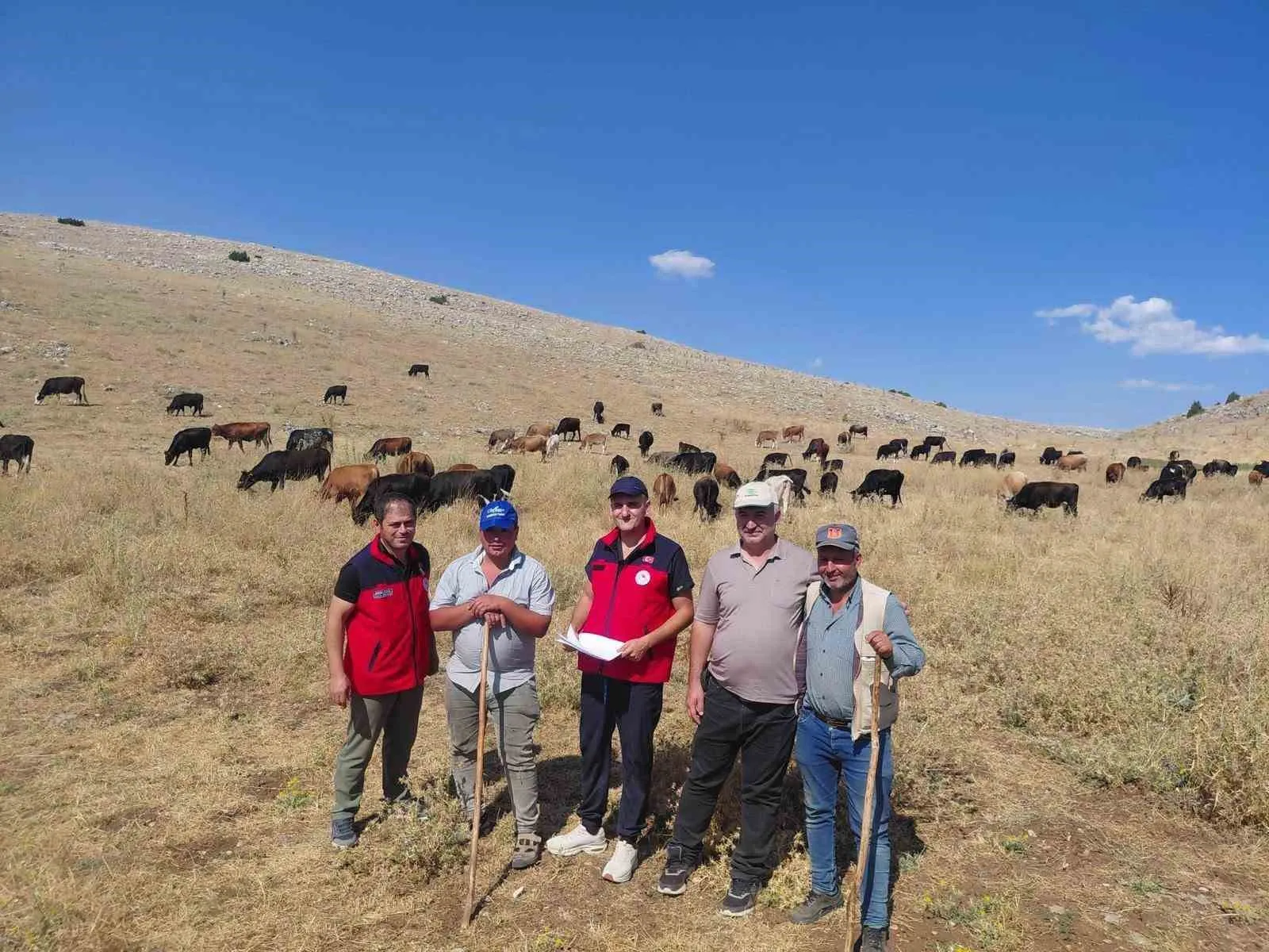 Anadolu’nun gen mirası Çay’da güvence altına alınıyor