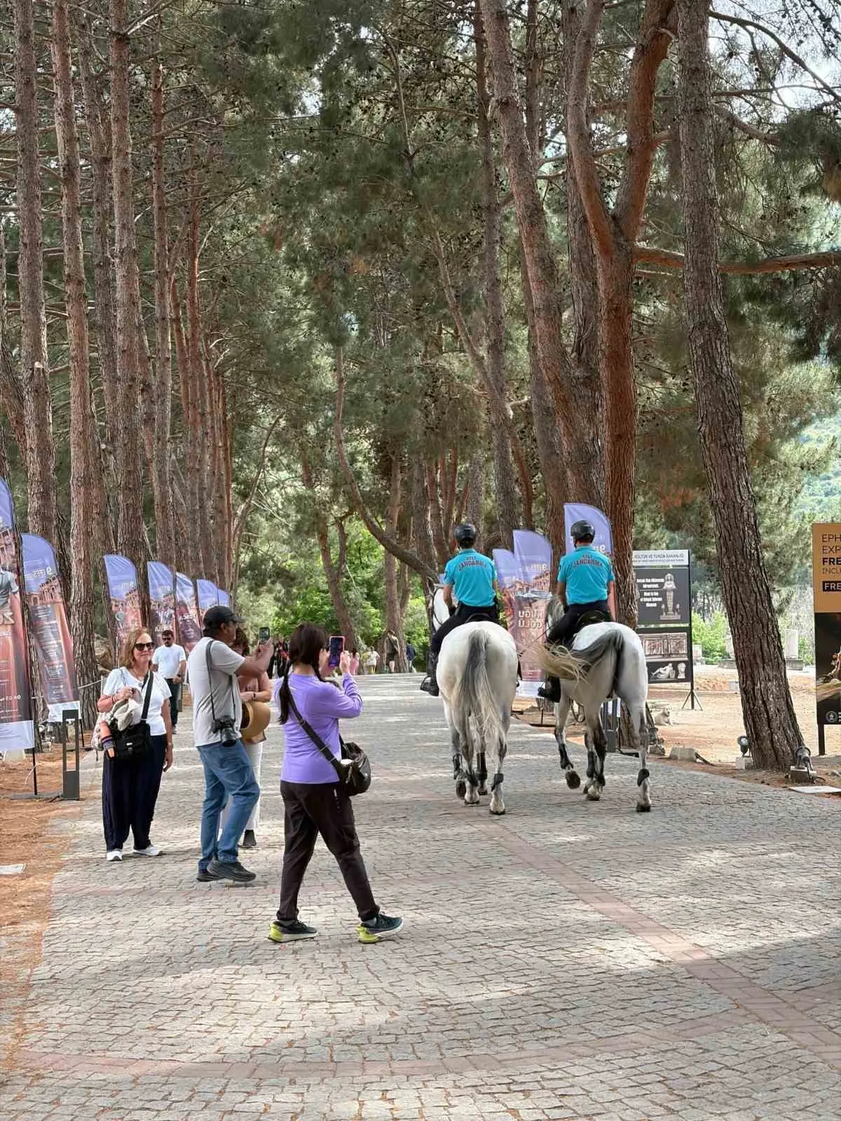 İzmir'in doğal güzelliklerinde atlı jandarma devriyesi: Hem güven veriyor hem gülümsetiyor