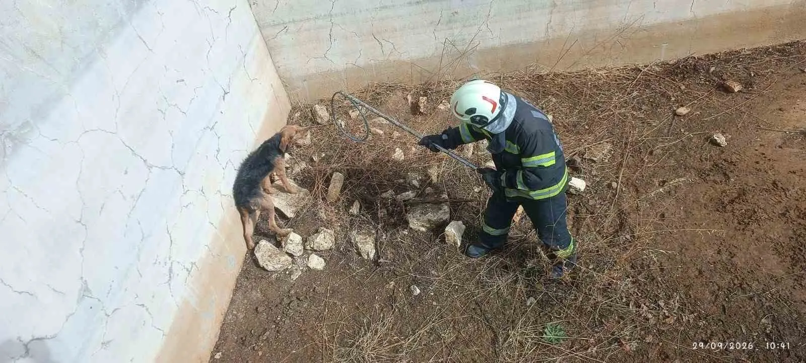 Sessiz çığlığı duyuldu: Derin havuzda mahsur kalan can dostu kurtarıldı