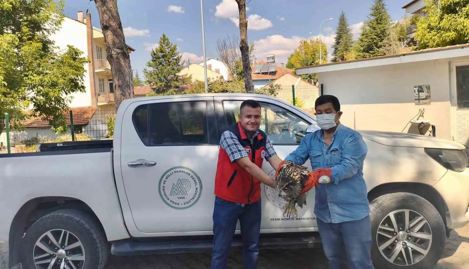 Sandıklı’da Doğada Bitkin Bulunan Puhu Kuşu Şifa Yuvasına Kavuştu