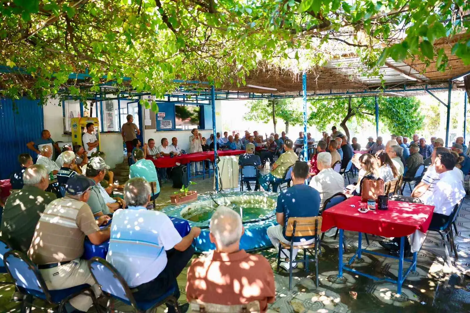 Didimli zeytin üreticisine müjdeli haber: Yeni pazar alanı geliyor