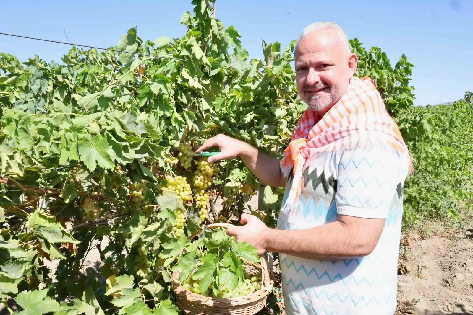 Menemen’de bağlar dile geldi: 18 bin tonluk bereket sofralara taşınıyor