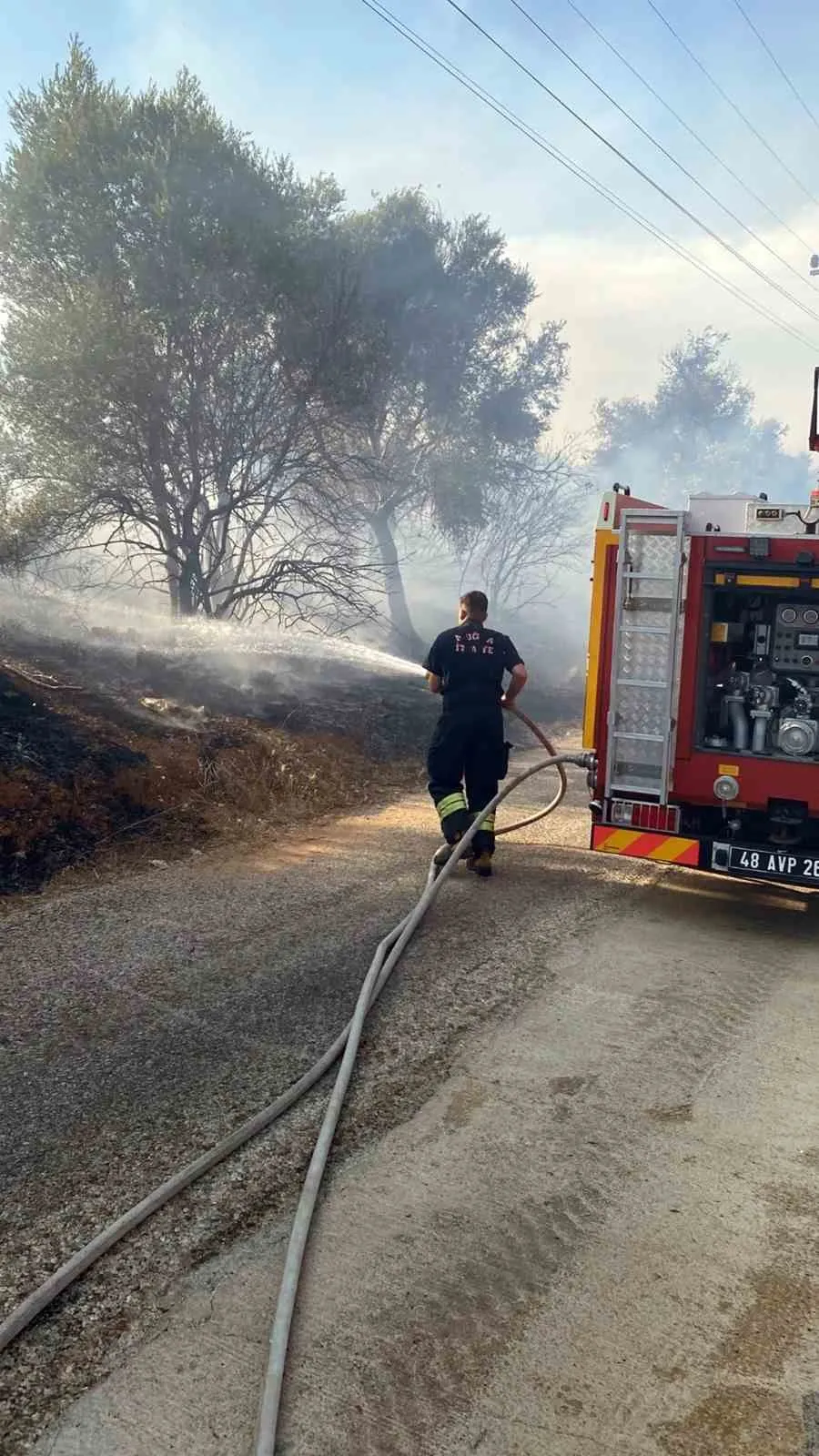 Bodrum-Milas hattında alevler paniğe yol açtı: Zeytinlikler son anda kurtarıldı