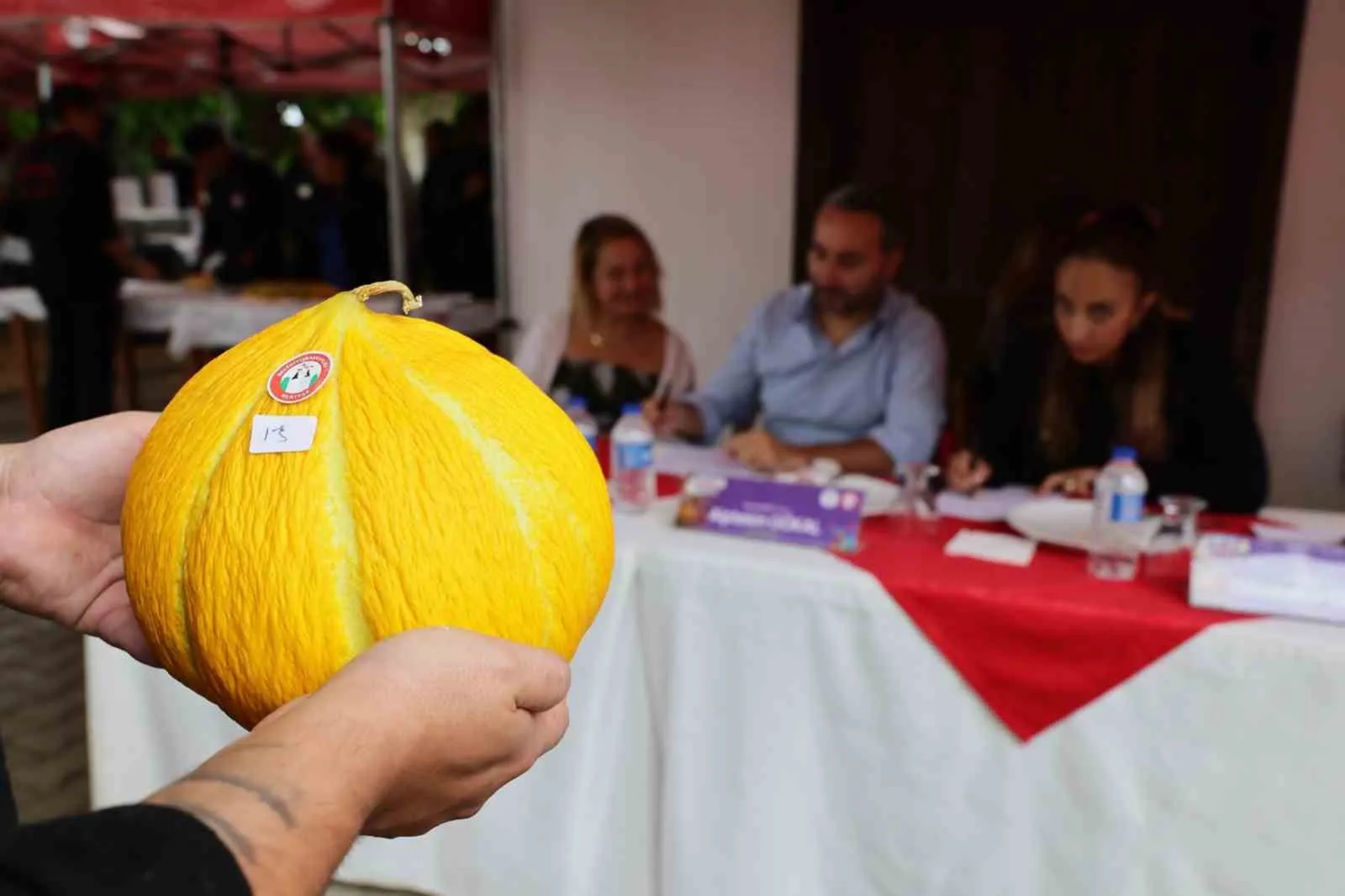 Muğla’nın asırlık lezzet mirası yarışmada buluştu: En iyi kavunlar seçildi