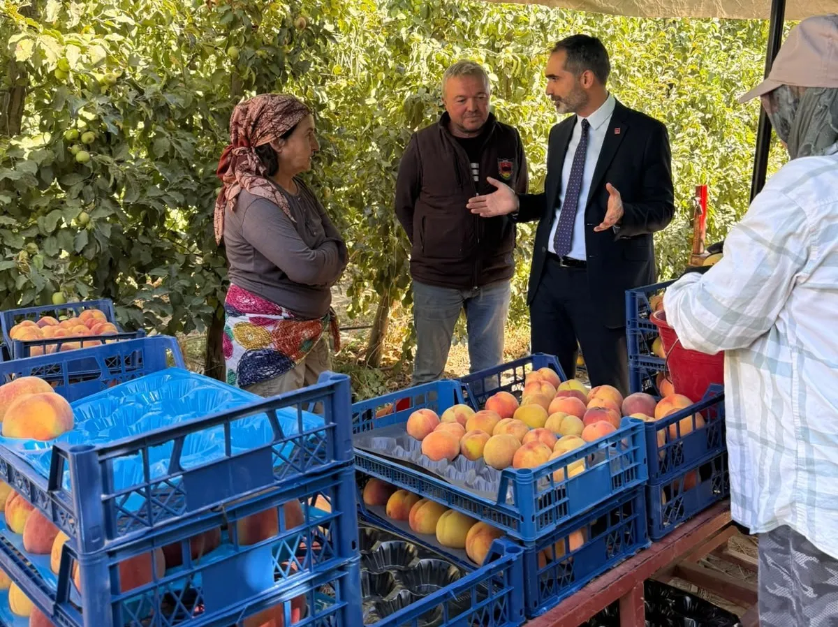 Çivril’de şeftali bahçelerinde acı itiraf: Kendi toprağımda işçi olmayı tercih ederdim