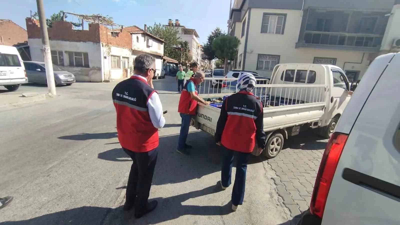 İncirde kalite nöbeti: Aydın’da ürün güvenliği için denetimler sıkılaştırıldı