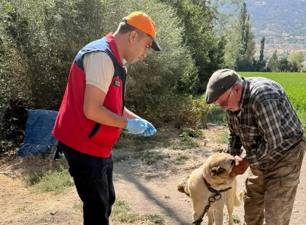 Çay ilçesinde minik dostlar için sağlık seferberliği: Kayıt altına alınıyorlar