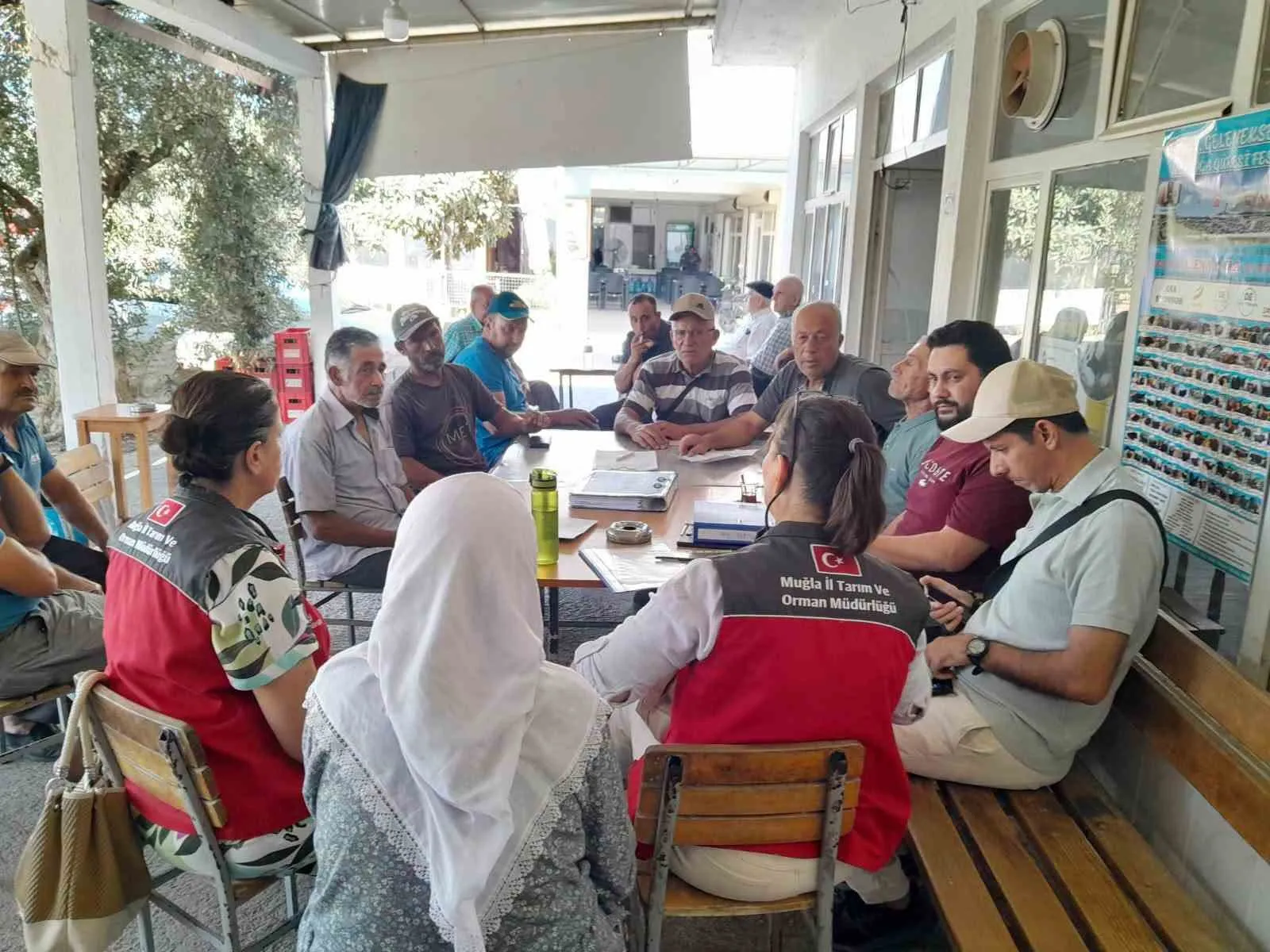 Muğla’nın altın susamı için kritik süreç başladı: Tarlalarda denetim dönemi