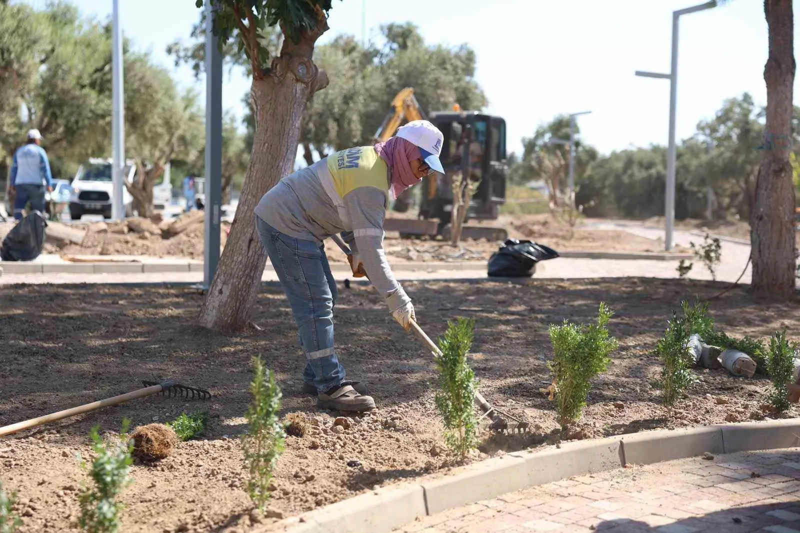 Didim’de zeytin ağaçlarının gölgesinde yeni bir sosyal yaşam dönemi başlıyor