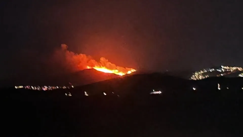 Bodrum’da akşam saatlerinde alarm: Rüzgar alevlerin önünü kesti