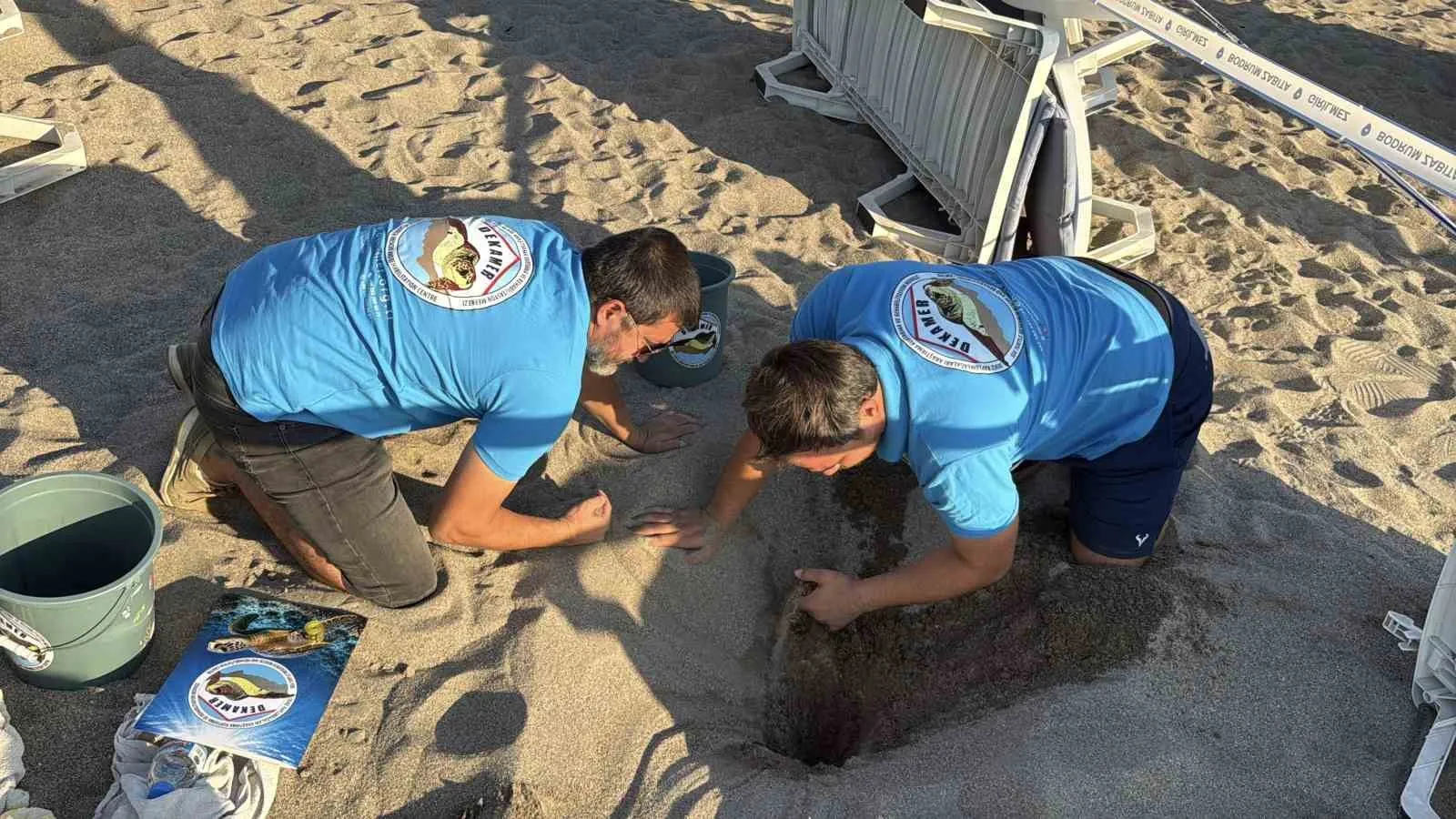 Bodrum'un kumsallarında mucizevi anlar: 62 minik yaşam mavi sulara kavuştu